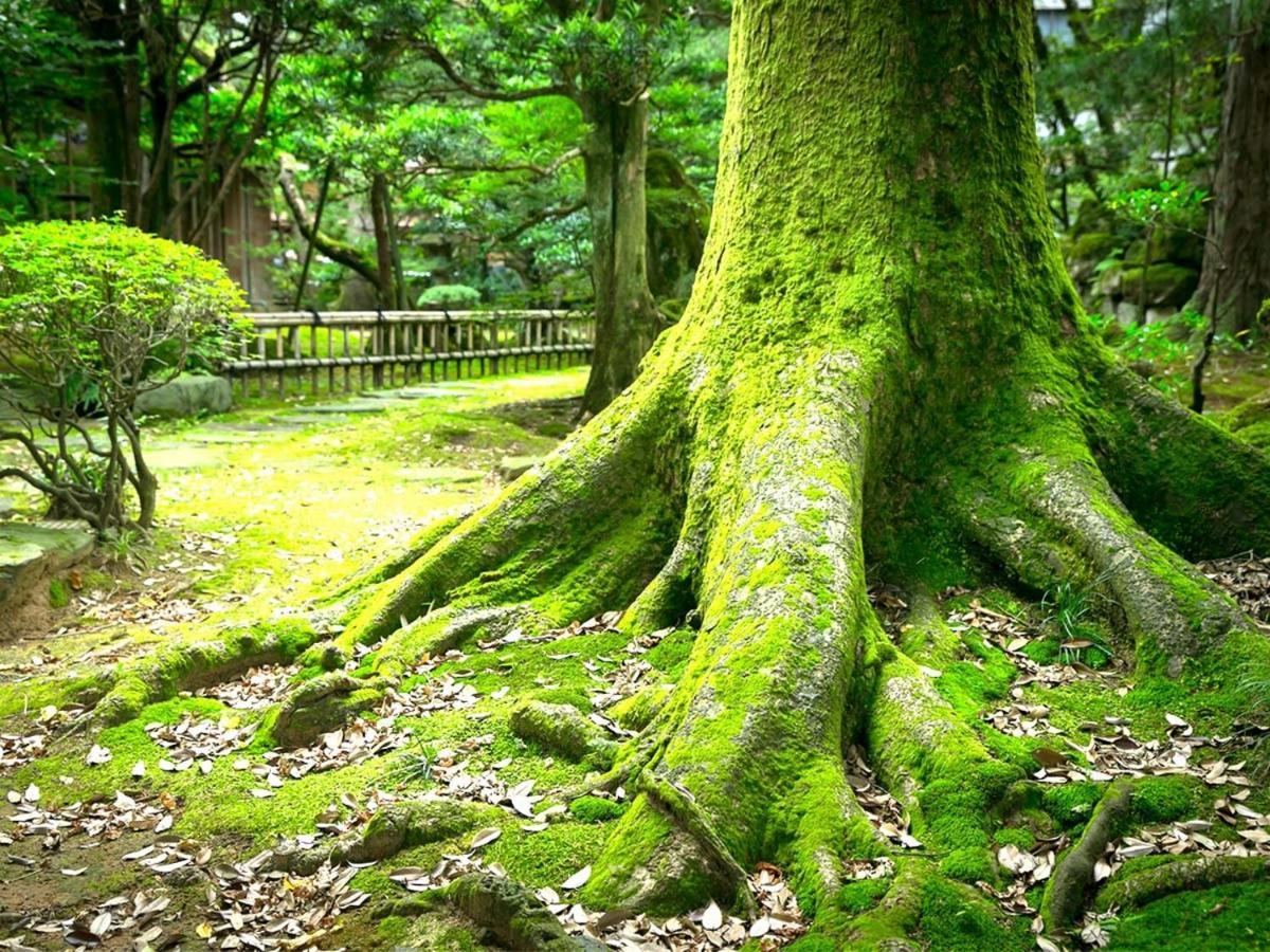 ホテル 粟津温泉　法師 小松市 エクステリア 写真