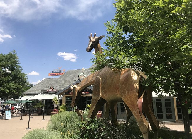 Denver Zoo photo