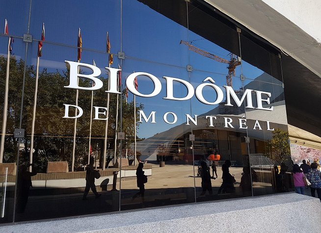 Montreal Biodome photo