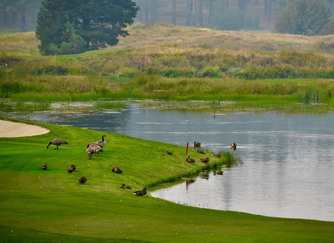 Edgewood Tahoe Golf Course photo