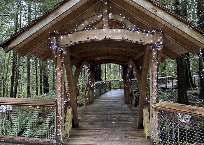 Capilano Suspension Bridge photo