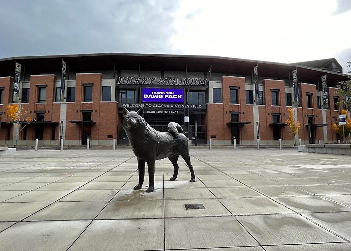 Husky Stadium photo
