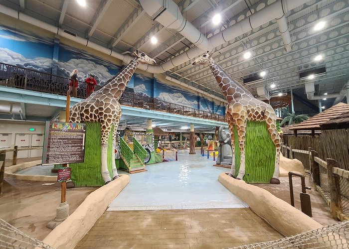 Kalahari Waterpark Resort photo