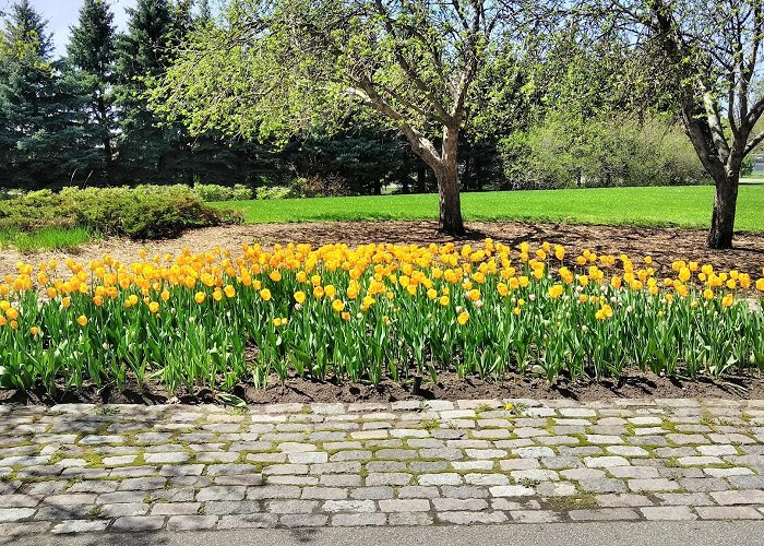 Lansdowne Park photo