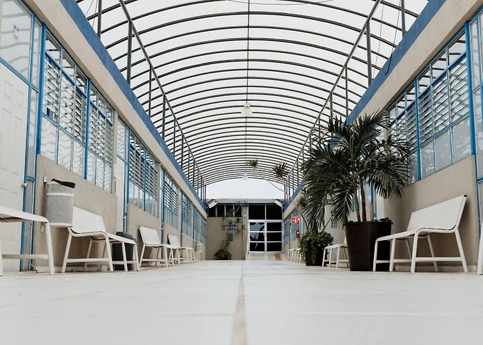 Guadalajara Lamar University photo