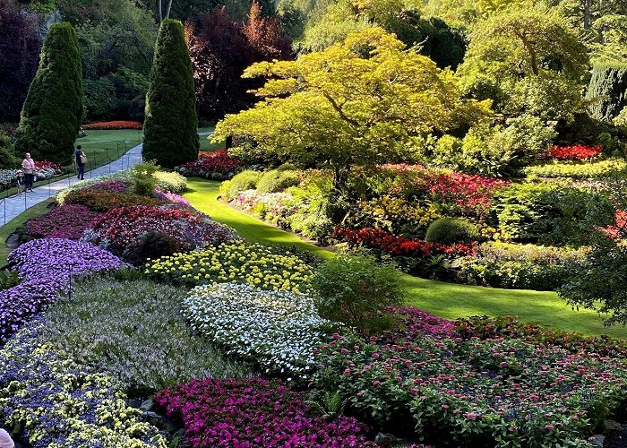 The Butchart Gardens photo