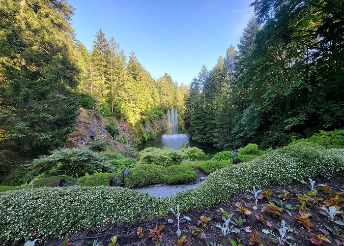 The Butchart Gardens photo