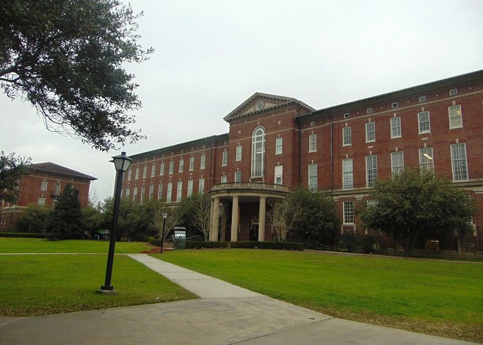 Tulane University photo