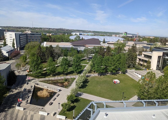 University of Calgary photo