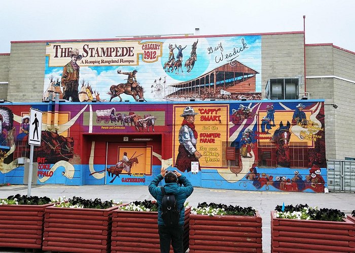 Calgary Stampede photo