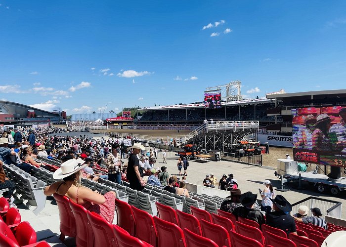 Calgary Stampede photo