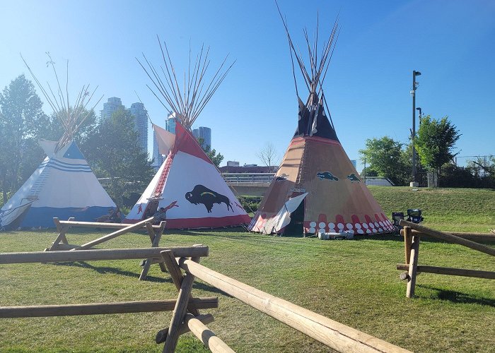 Calgary Stampede photo