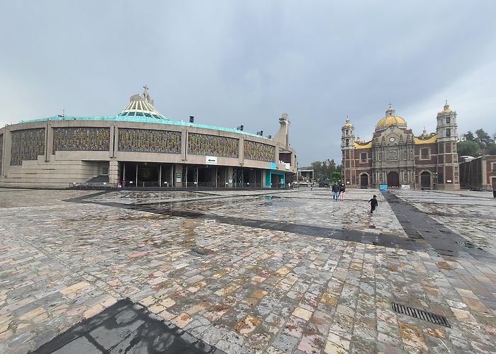 Basilica of Our Lady of Guadalupe photo