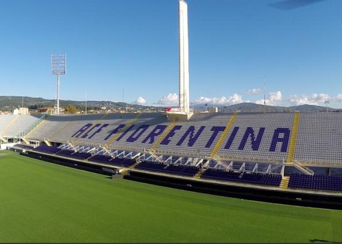 Artemio Franchi Stadium photo