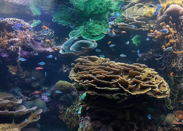 L'Oceanogràfic photo