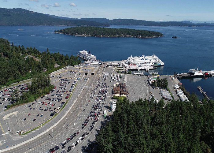 Swartz Bay Ferry Terminal photo