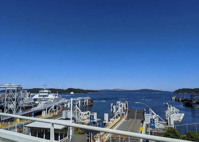 Swartz Bay Ferry Terminal photo