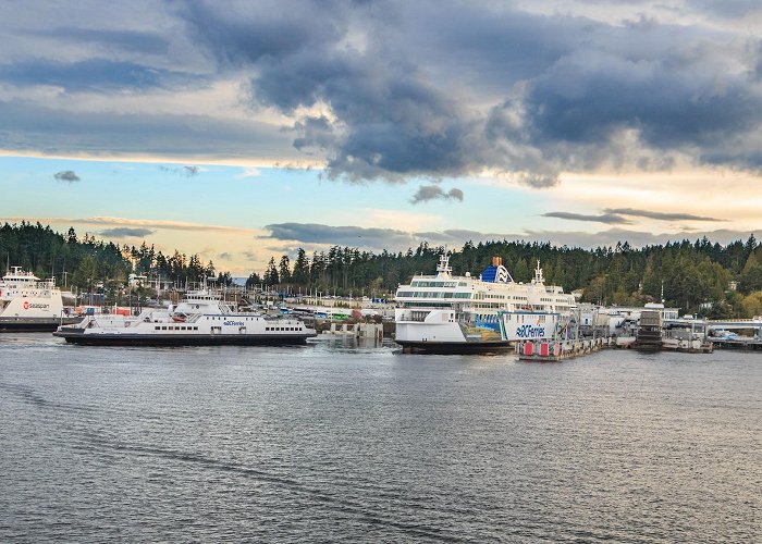 Swartz Bay Ferry Terminal photo