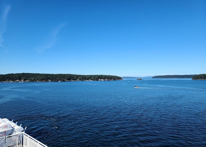 Swartz Bay Ferry Terminal photo