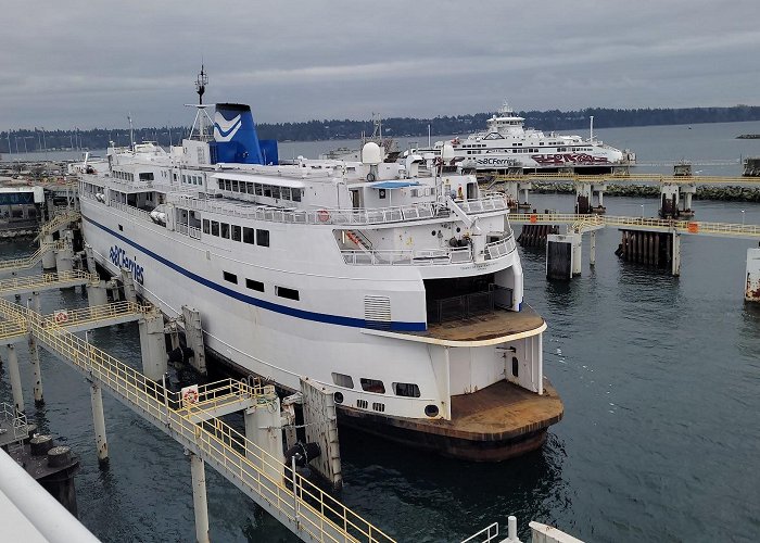 Swartz Bay Ferry Terminal photo