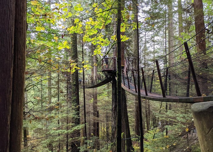 Capilano Suspension Bridge photo