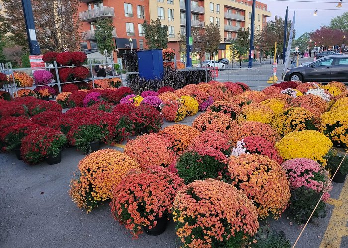 Atwater Market photo