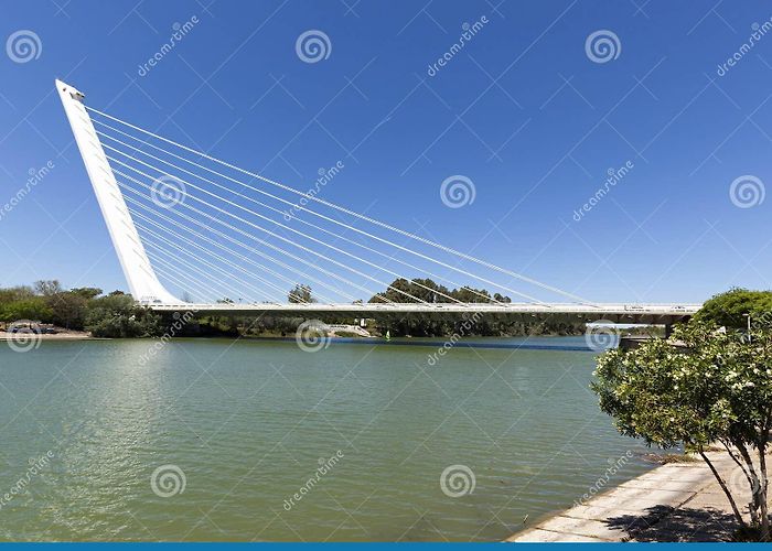 Alamillo Park Puente Del Alamillo, Seville Editorial Stock Image - Image of ... photo