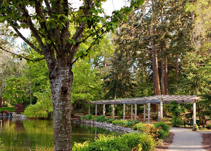 Beacon Hill Park Beacon Hill Park, Victoria, B.C., Canada - Park Review | Condé ... photo