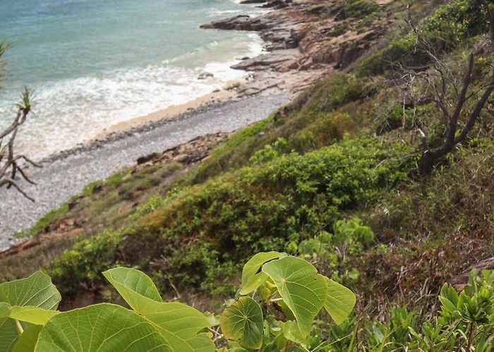 Noosa National Park Noosa Heads Coastal Walk | Gallery + Guide | Kokoda Challenge photo