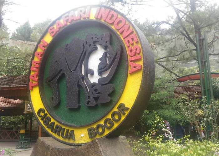 Zoo of CIGS Zoo Adventure: Taman Safari | A Perfectly Ordinary Life photo