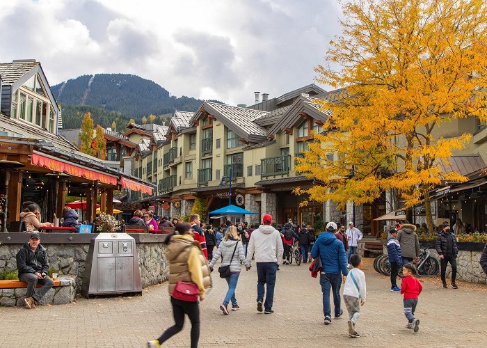 Whistler Village Whistler Visitor Centre Tours - Book Now | Expedia photo