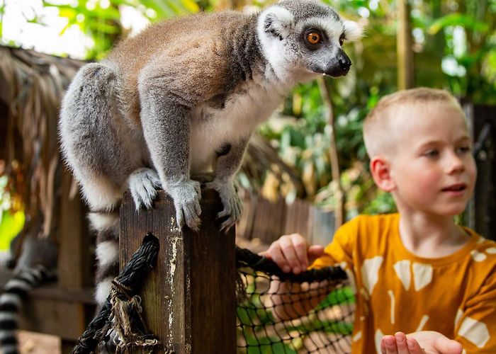 Zoo Lille Den lille Dyrehage Zoo in Gjerstad | Theme Parks | Sundebru | Norway photo