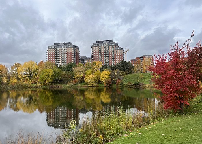 Parc Angrignon Parc Angrignon : r/montreal photo