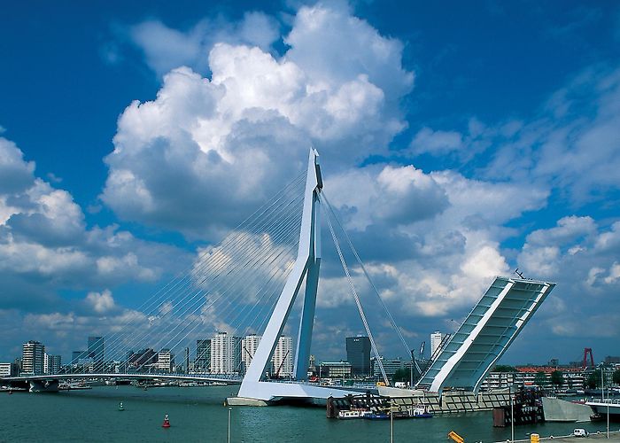 Erasmus Bridge Erasmus Bridge - UNStudio photo
