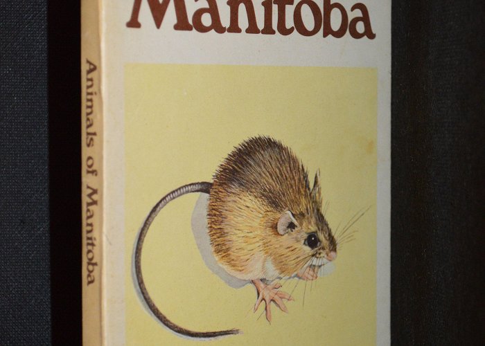 Manitoba Museum of Man-Nature Animals of Manitoba by David E. McInnes & William B. Preston ... photo