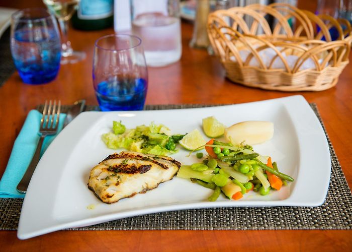 Donald Winnicott Hospital Center Brit Hotel Saint Malo Le Transat - Travel Gay photo