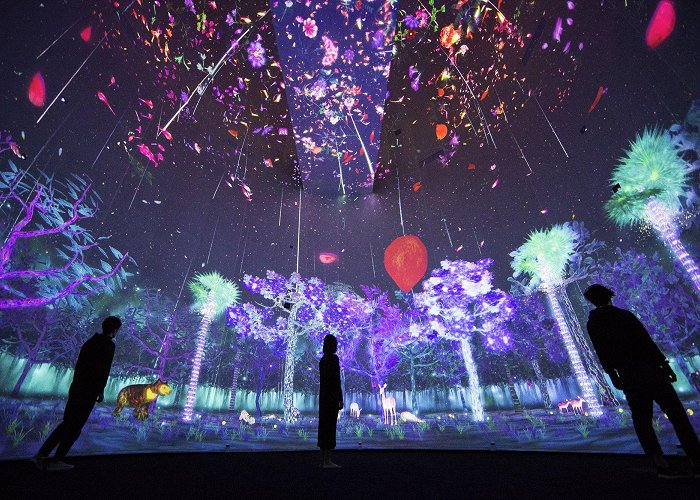 National Museum of Singapore National Museum of Singapore | teamLab photo