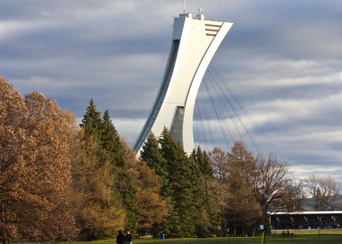 Parc Maisonneuve Olympic stadium view form parc Maisonneuve today . : r/montreal photo