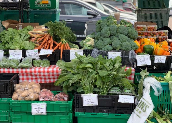 Alderney Landing Alderney Landing Farmers' Market | Tourism Nova Scotia, Canada photo