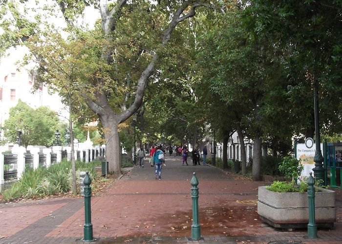 The Company's Garden Cape Town Company Gardens - Things to Do - African Budget Safaris photo
