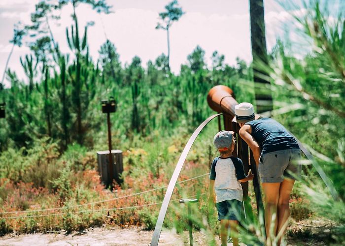 Ecomusee de Marqueze Travel back to the 19th century in Marquèze | Tourism Landes France photo