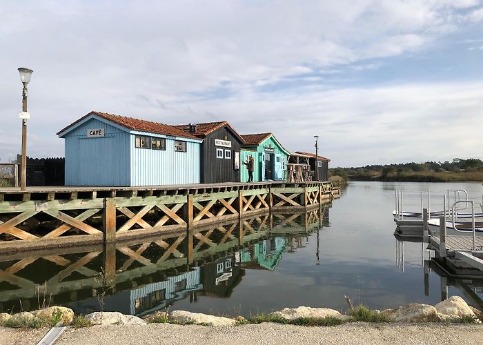 Ecomusee de Marqueze Traveling with Kids in Aquitaine - Aquitaine Travel Guide photo