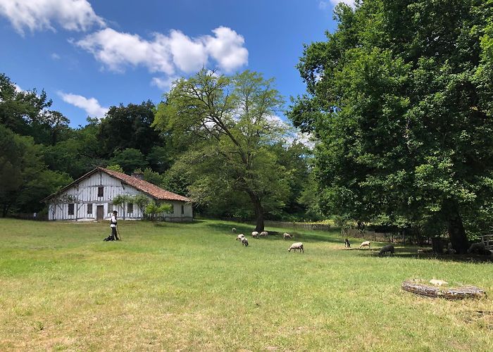 Ecomusee de Marqueze Traveling with Kids in Aquitaine - Aquitaine Travel Guide photo