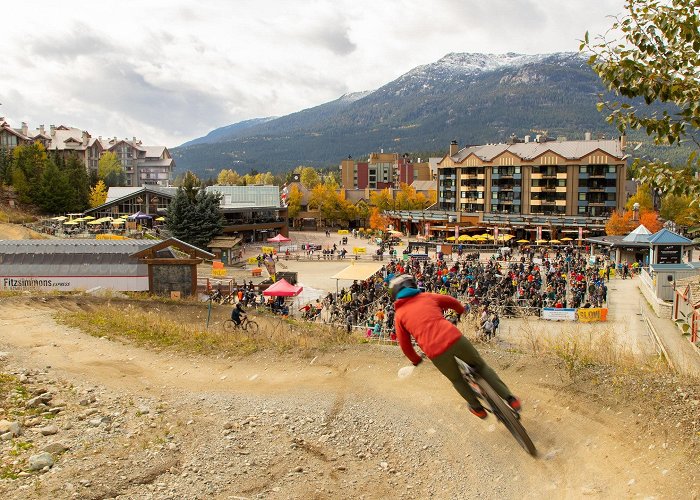 Whistler Mountain Bike Park Whistler Mountain Bike Park Tours - Book Now | Expedia photo