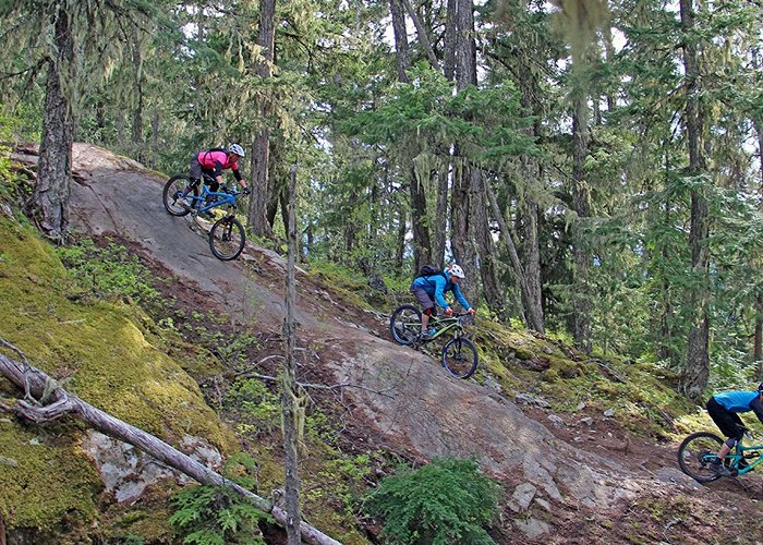 Whistler Mountain Bike Park Whistler Mountain Bike Park Rentals photo