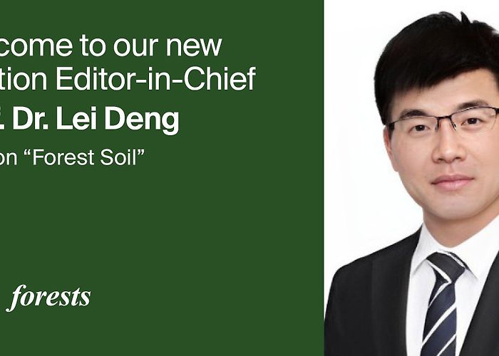 Insitute of Physics Forests | Announcements photo