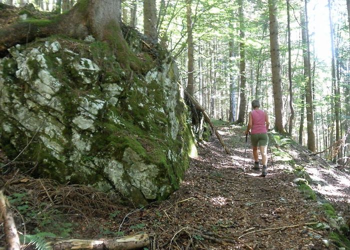 Naturschutzgebiet "Weitsee – Mittersee - Lödensee" Die schönsten Bergtouren in Reit im Winkl | Outdooractive photo