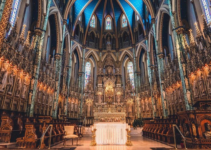 Notre Dame Basilica How to Visit the Notre-Dame Cathedral Basilica in Ottawa | solosophie photo