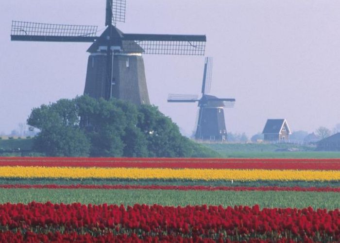 Natuuractiviteitencentrum de Weerribben DK Eyewitness Travel - The Netherlands - Flipbook by zogothebest ... photo