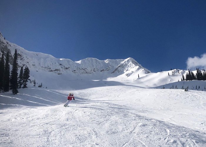 Fernie Alpine Resort Fernie Ski Resort, Canadian Rockies skiing review | Family Ski ... photo